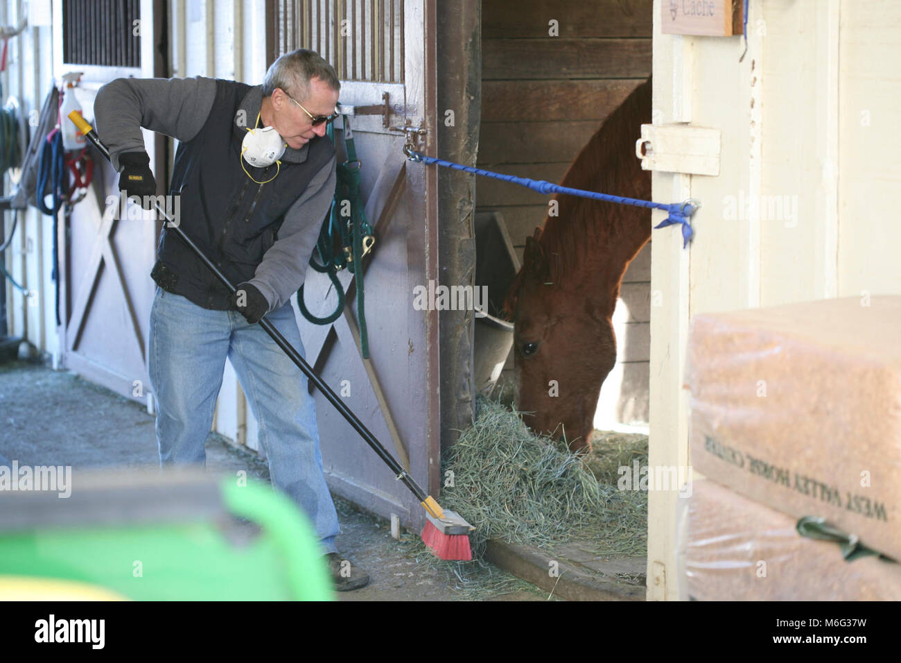 Horse Operations Volunteer. These volunteers help care for the park