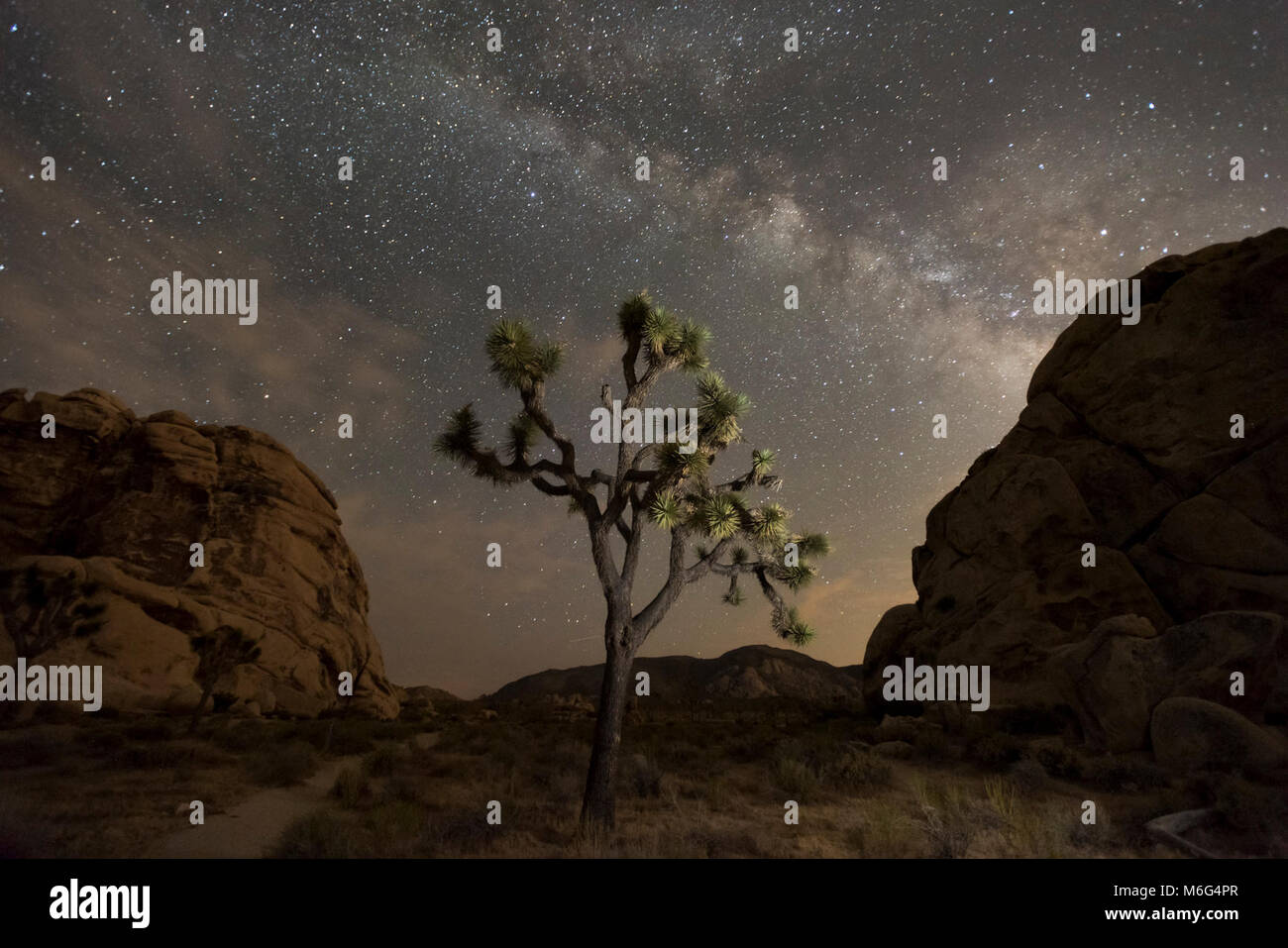 Night sky of Joshua Tree National Park Stock Photo - Alamy