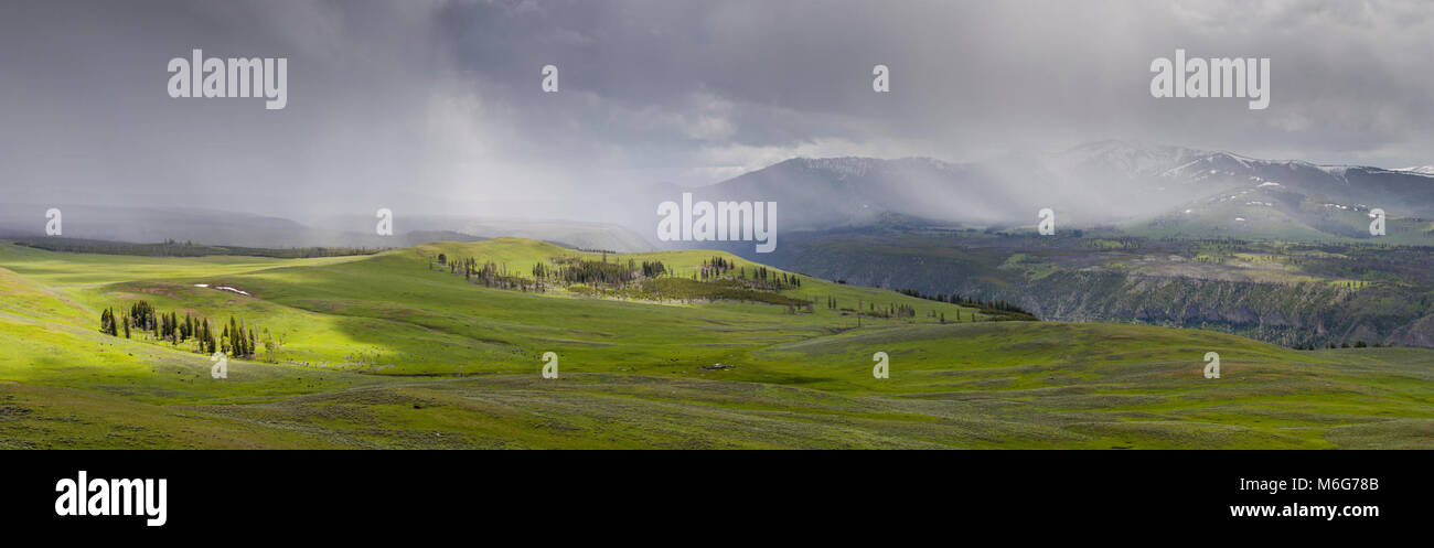 Specimen ridge yellowstone hi-res stock photography and images - Alamy