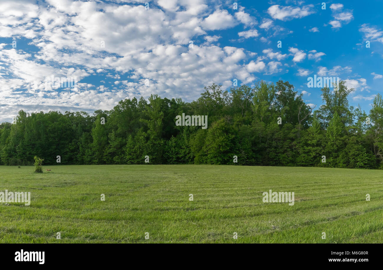 A pastoral scene on a calm, spring day Stock Photo - Alamy