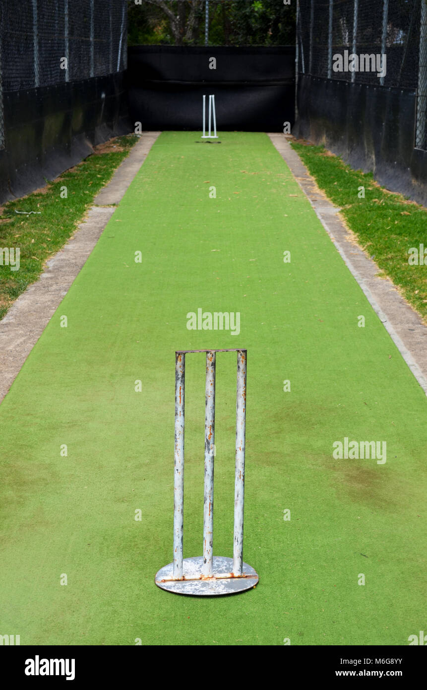 Cricket practice nets Stock Photo Alamy