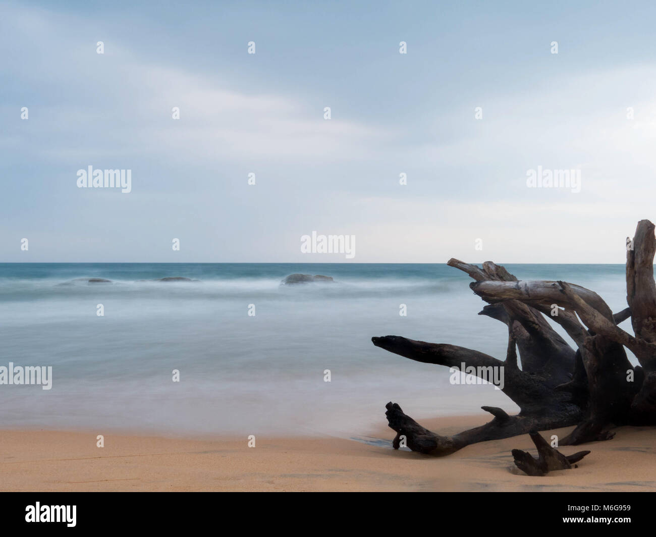 Timeless portrait hi-res stock photography and images - Alamy