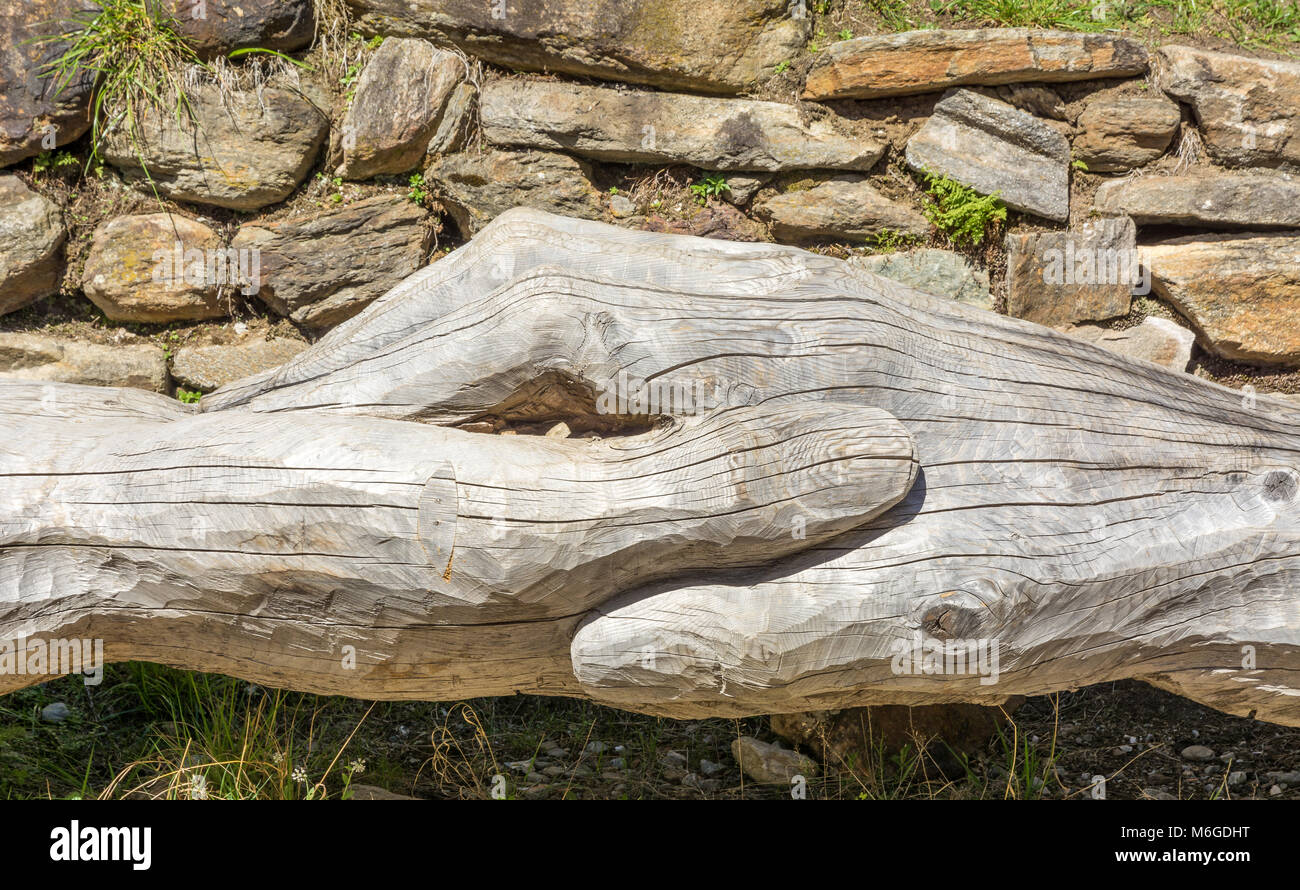 wooden bench in the tree trunk Stock Photo Alamy