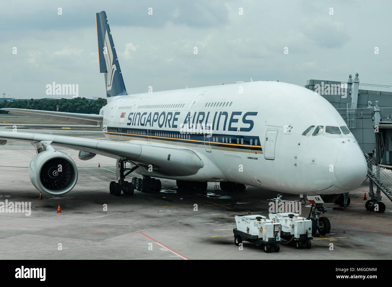 Singapore Airlines is the flag carrier airline of Singapore with its hub at  Singapore Changi Airport. The airline was famous for its top notch service  Stock Photo - Alamy