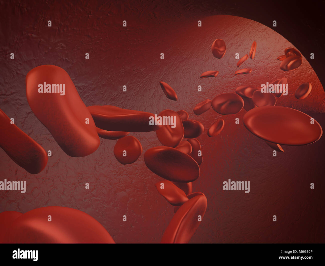 Close up of red blood cells flowing inside vessels - 3D illustration ...