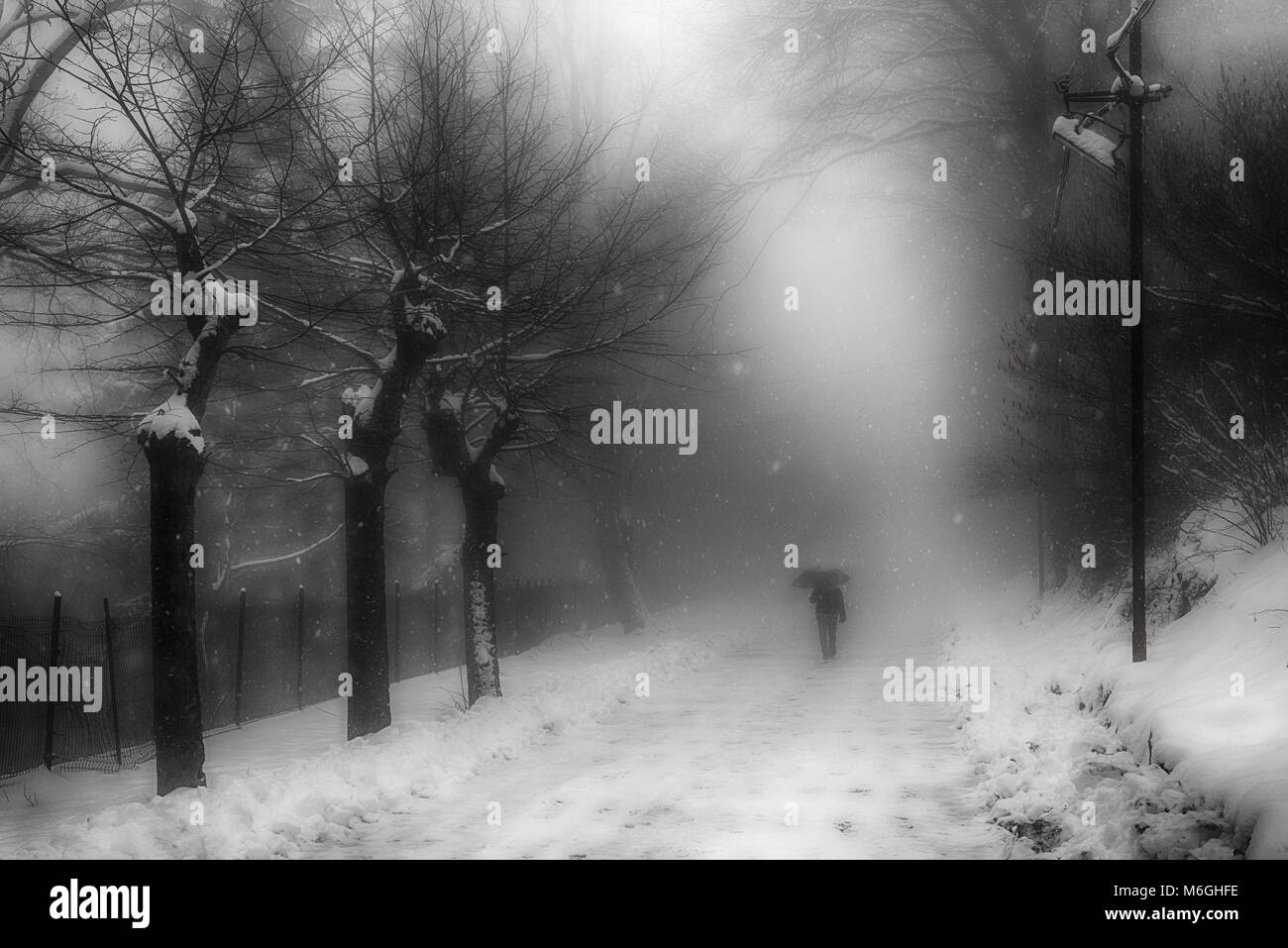 A man walking on the street under the snow in a foggy winter morning Stock Photo