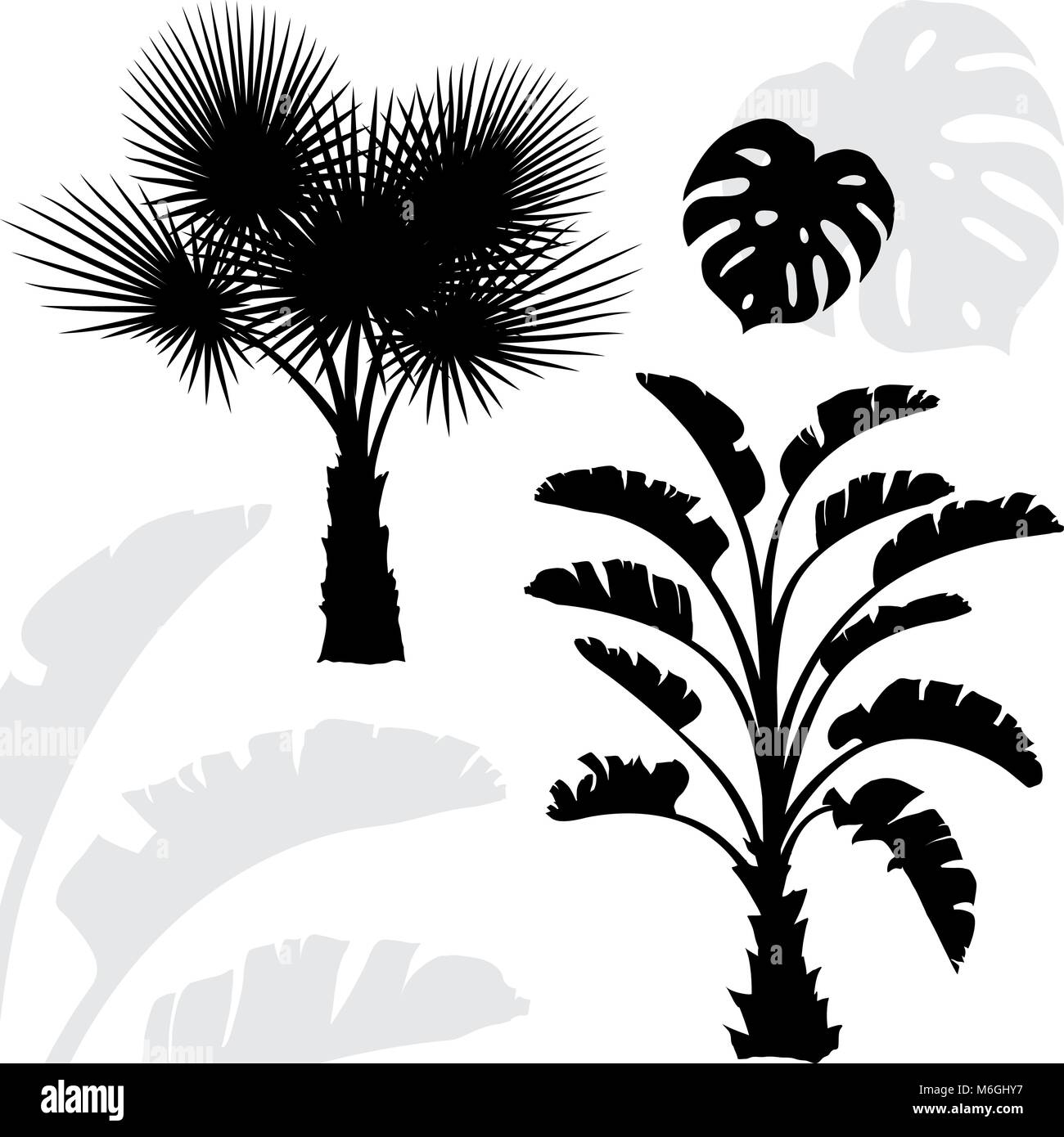 Palm trees black silhouettes on white background Stock Vector Image ...