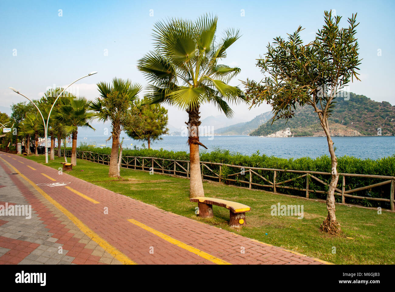 Seaside paved promenade with palm trees and an olive tree with a wooden bench, overlooking a calm sea against a backdrop of distant hills Stock Photo
