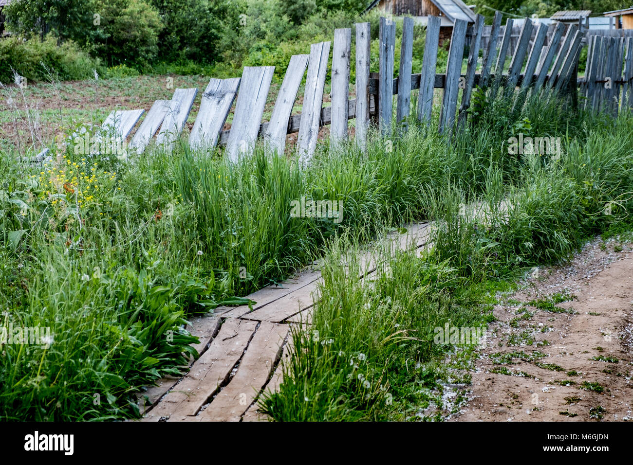 Overgrown with greenery old wooden fence. Rural scene Stock Photo - Alamy
