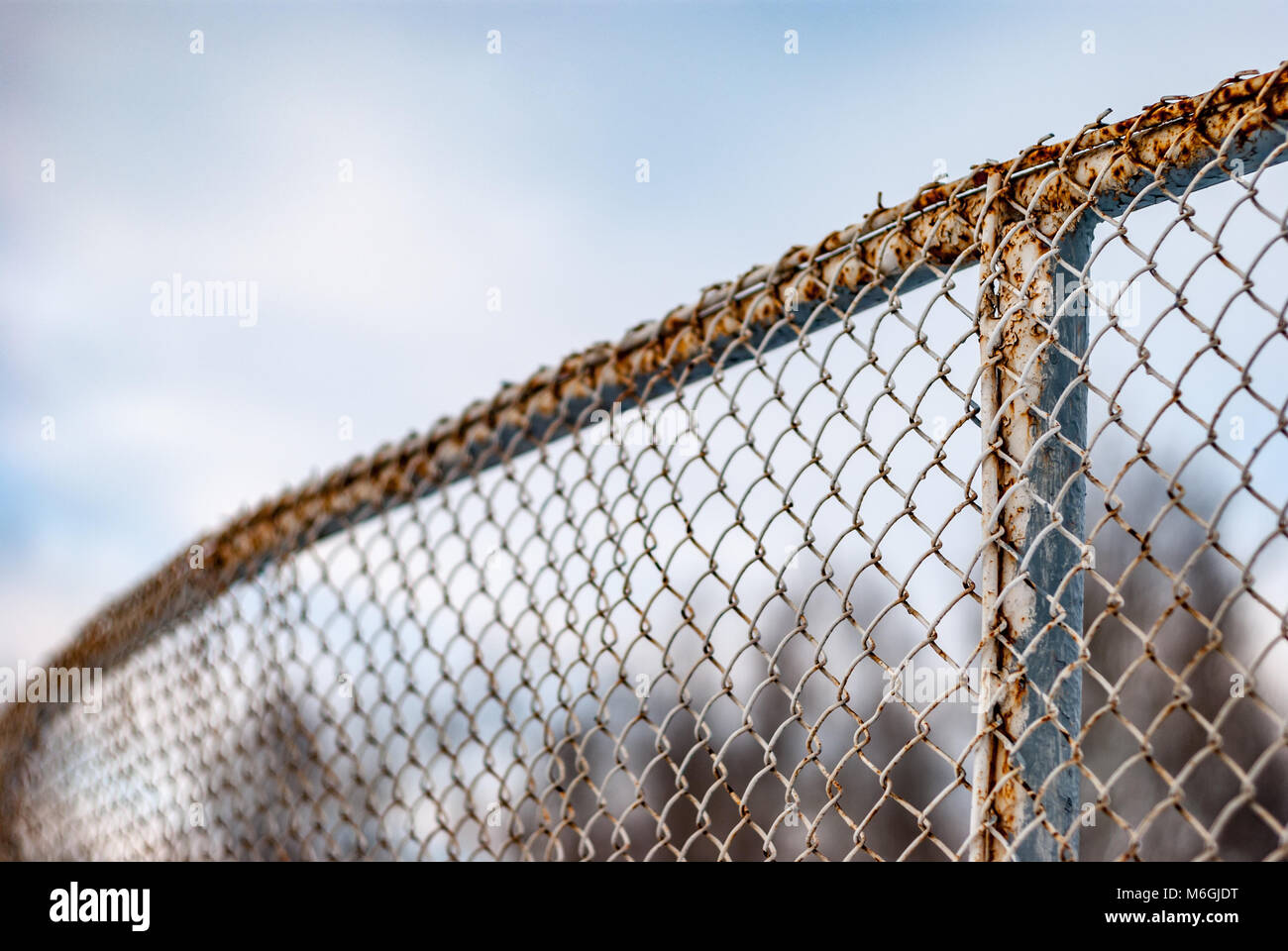 Rusty metal mesh fence on the background of sky and trees. Hockey rink fencing Stock Photo