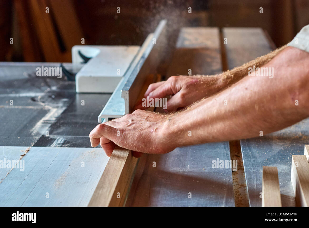 Unrecognizable carpenter using sharp table saw to cut lumber plank while working in professional workshop Stock Photo