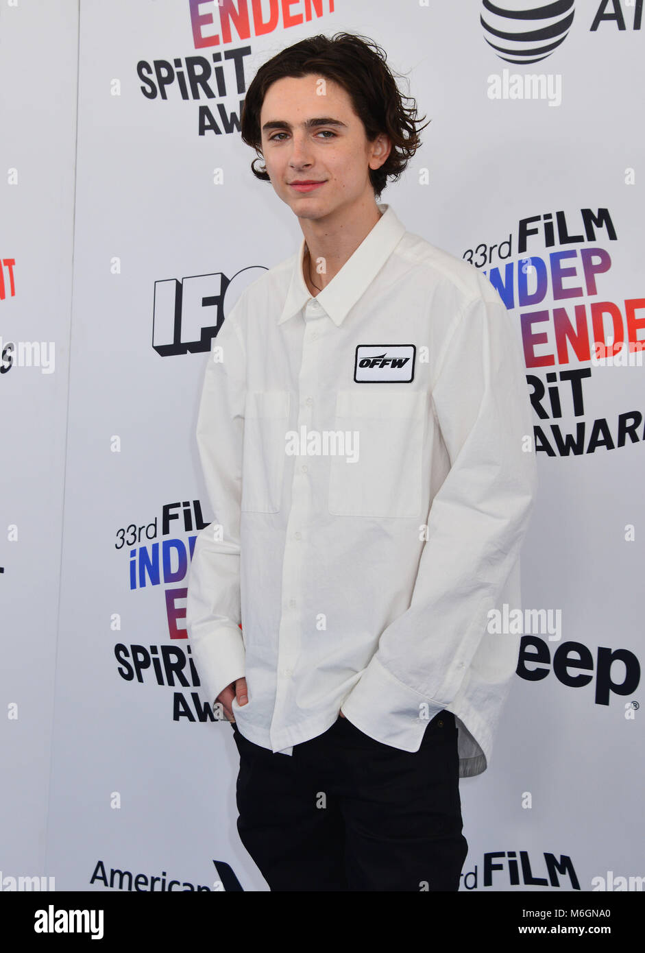 Timothee Chalamet 010 attends the 2018 Film Independent Spirit Awards ...