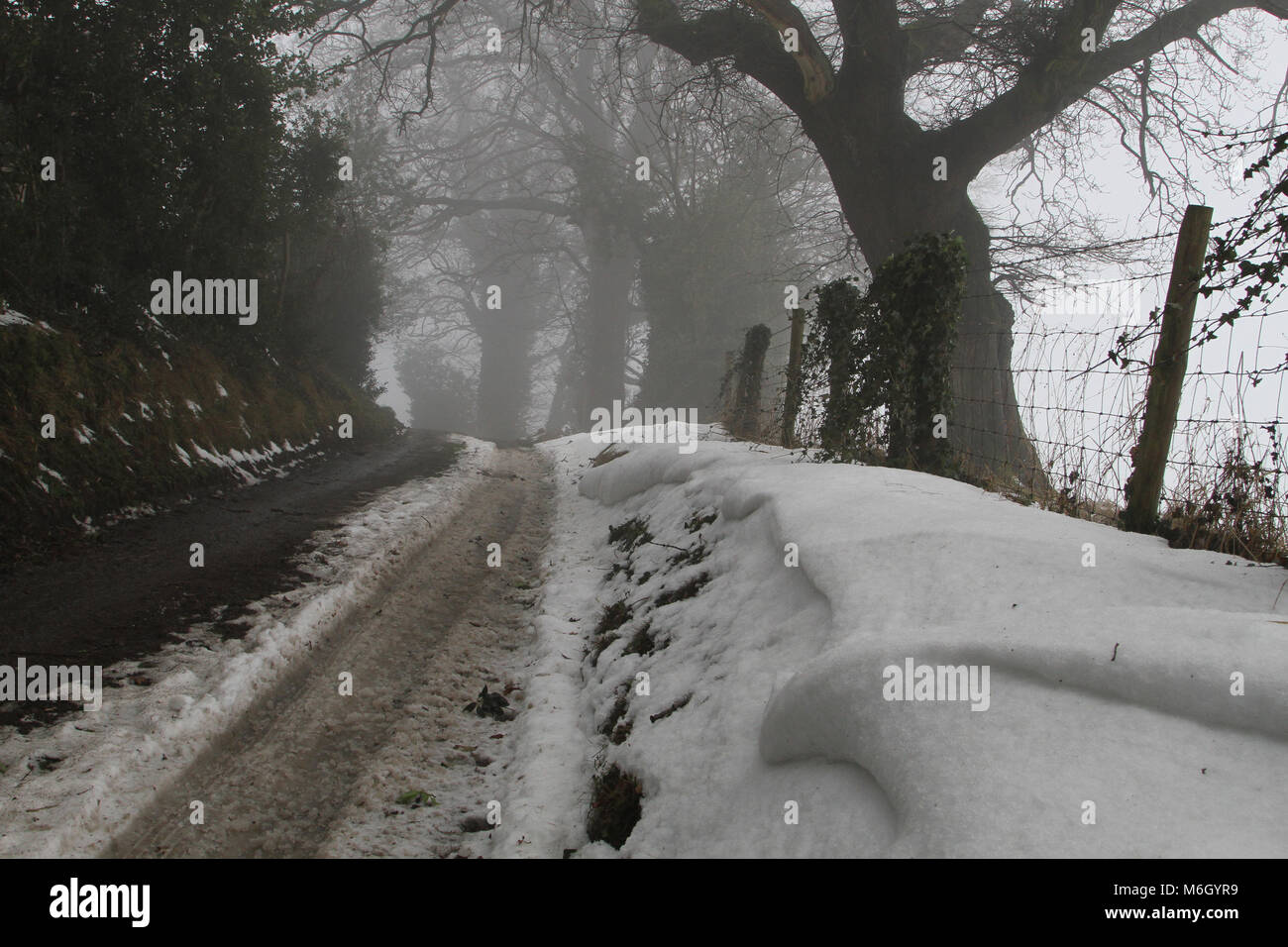 UK Weather Freezing Foggy weather and partial thaw in Howardian Hills