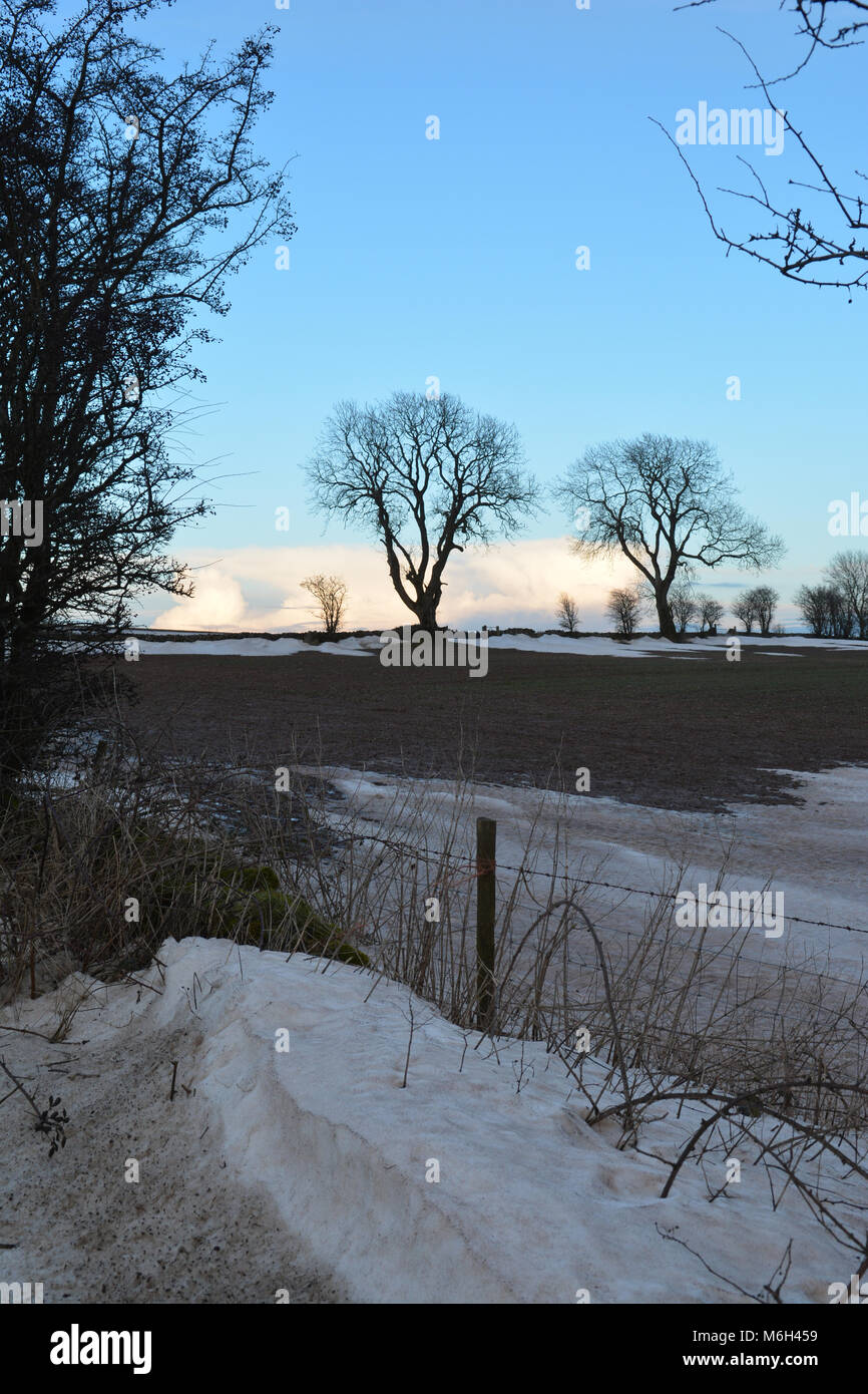 UK Weather.Big Thaw after Storm Emma,late evening fields at Green Ore