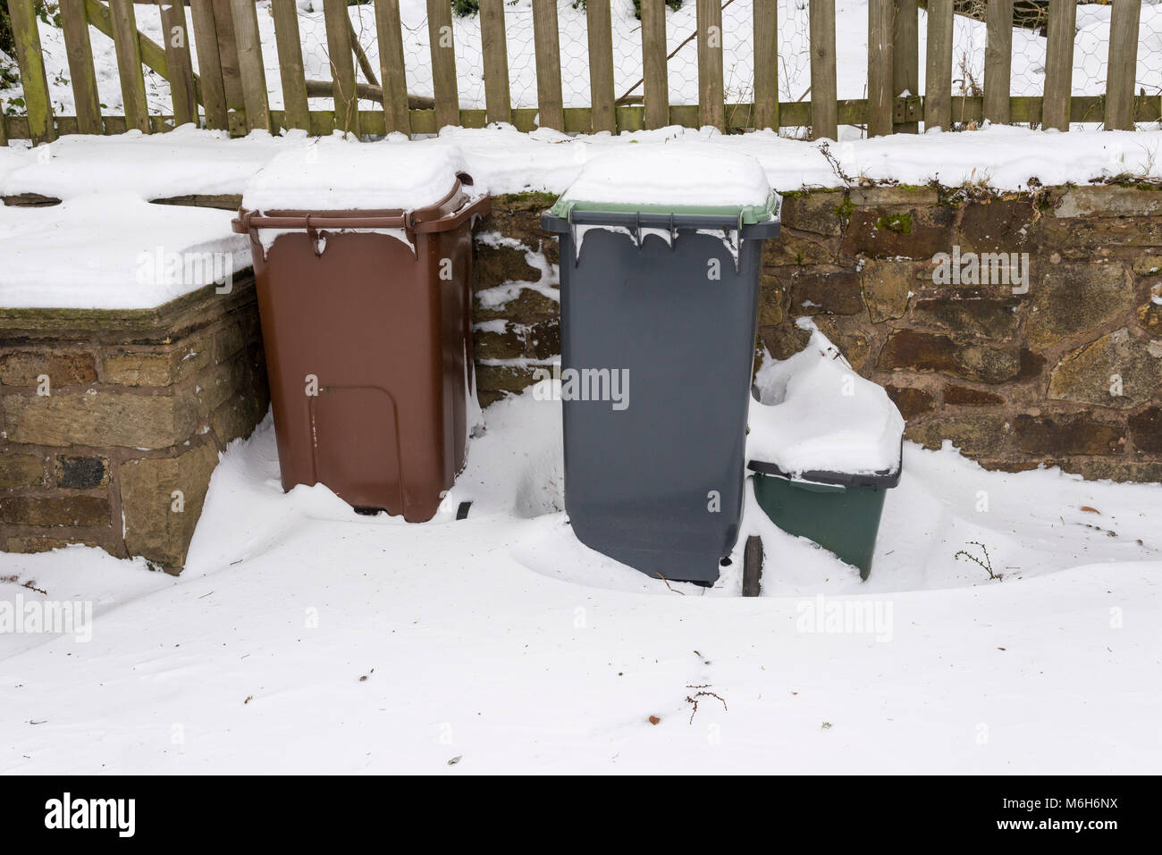 Wheelie bins garden hi-res stock photography and images - Alamy