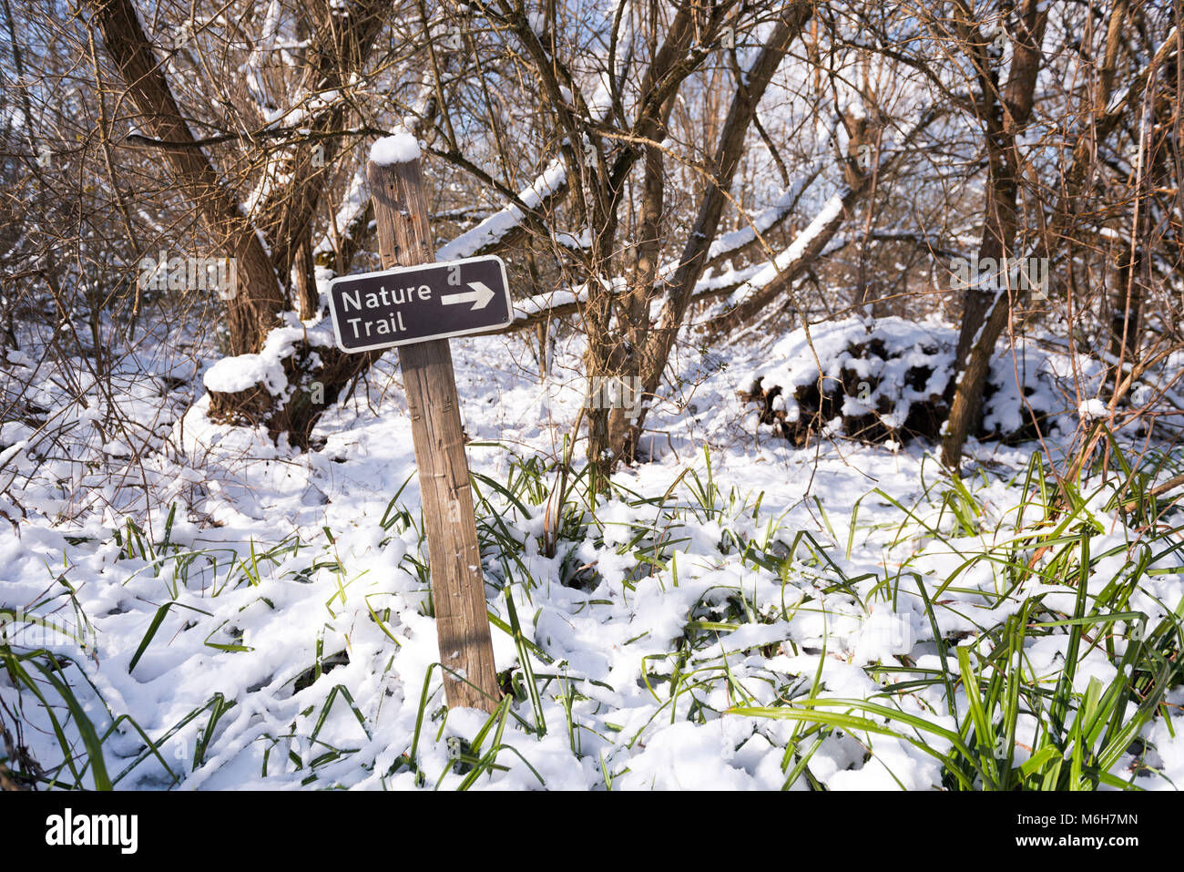 Nature trail sign on a hiking path in a snow covered forest Stock Photo