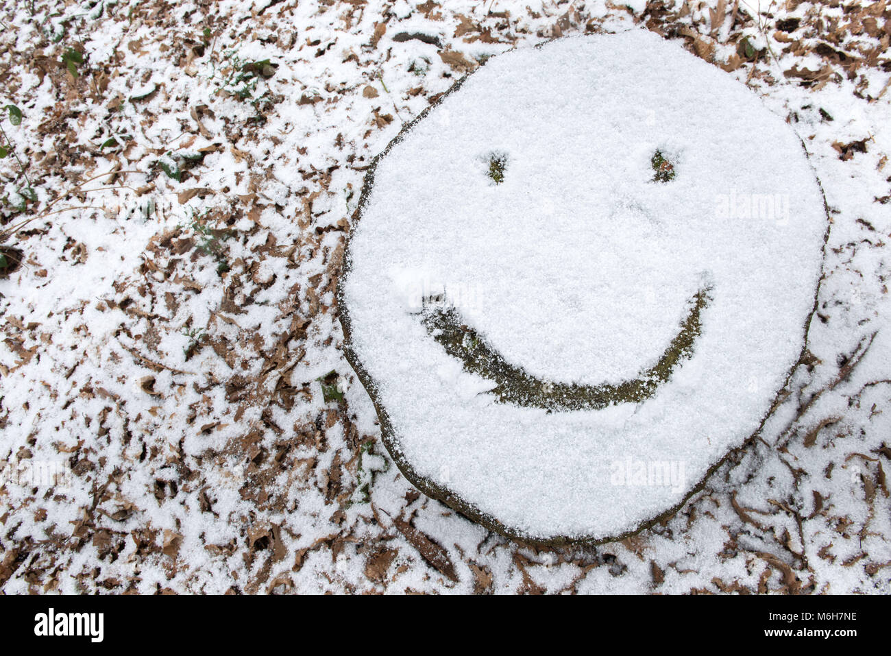 Smiley face emoji drawn on snow covered tree stump Stock Photo
