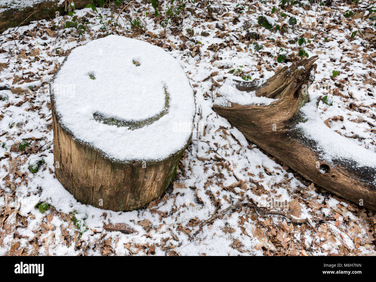 Smiley face emoji drawn on snow covered tree stump Stock Photo