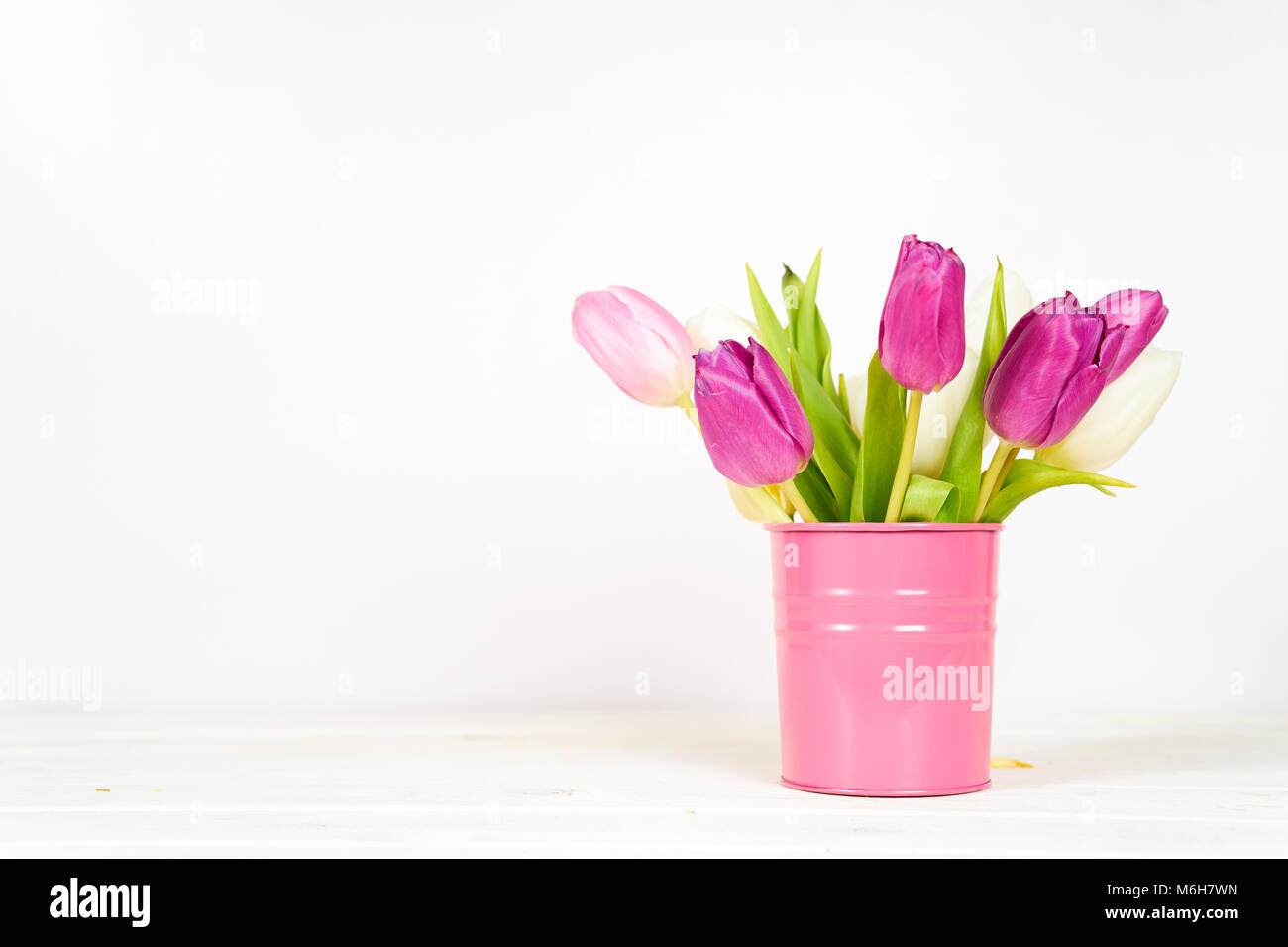 Purple tulips in pink bucket on white background. Copy space Stock
