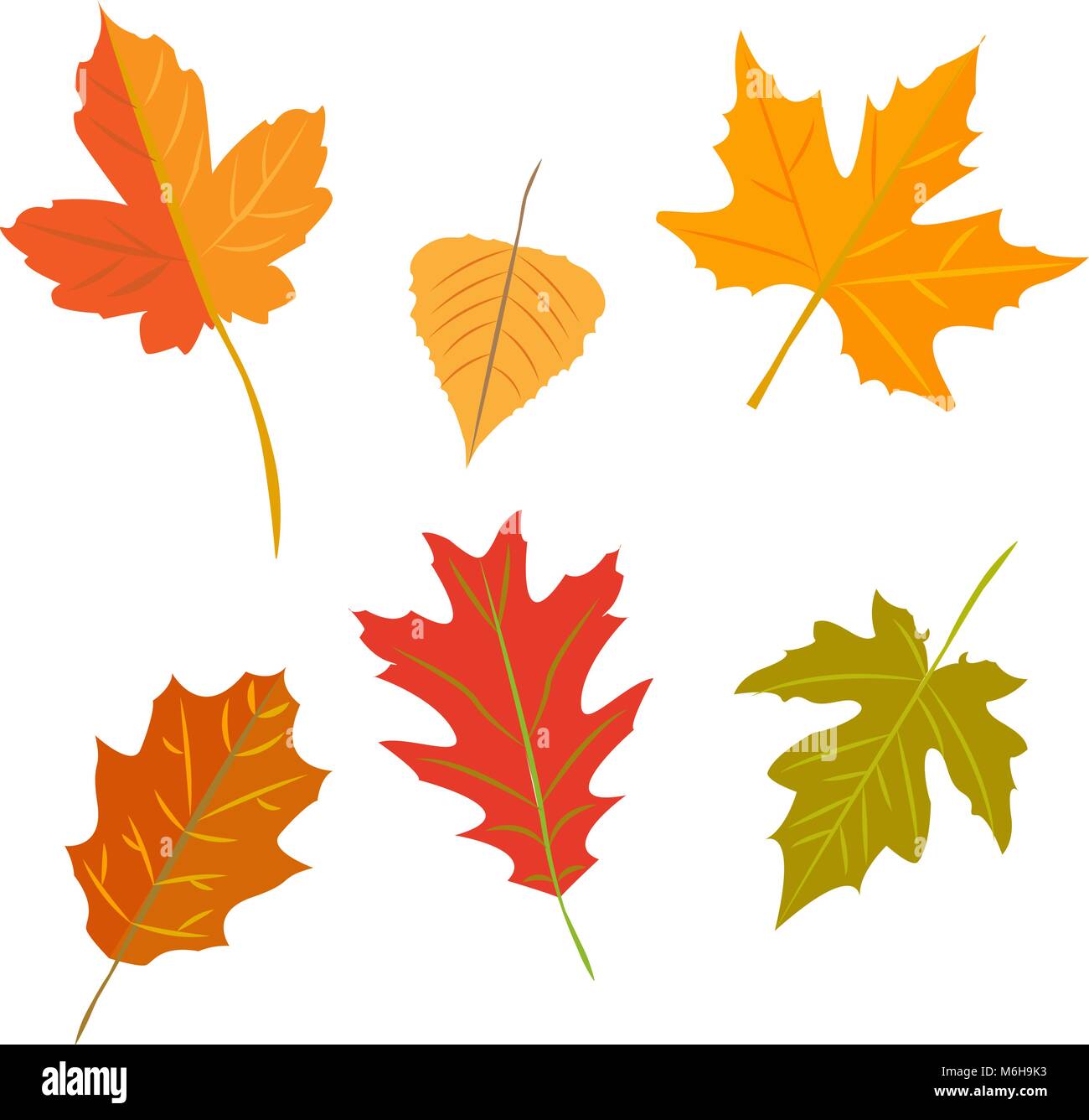 autumn leaves set, isolated on white background Stock Vector Image ...