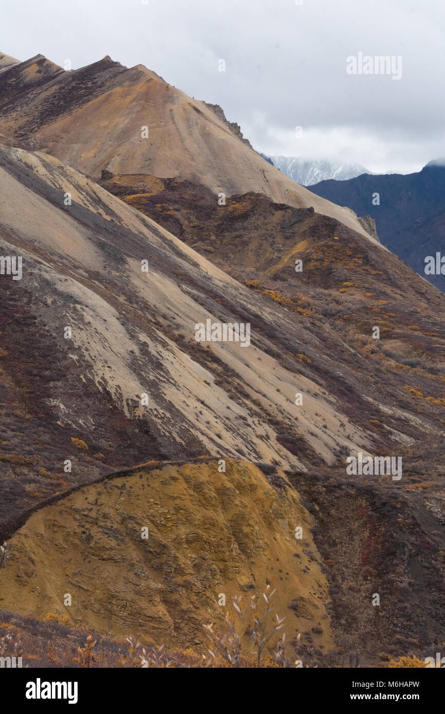 Slopes covered in sandy colors stand out against the fall colors of Denali National Park. Stock Photo