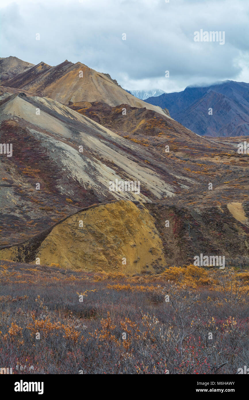 In Denali National Park, the hills at lower elevation turn with fall colors while higher terrian stayed covered in evergreen. Stock Photo