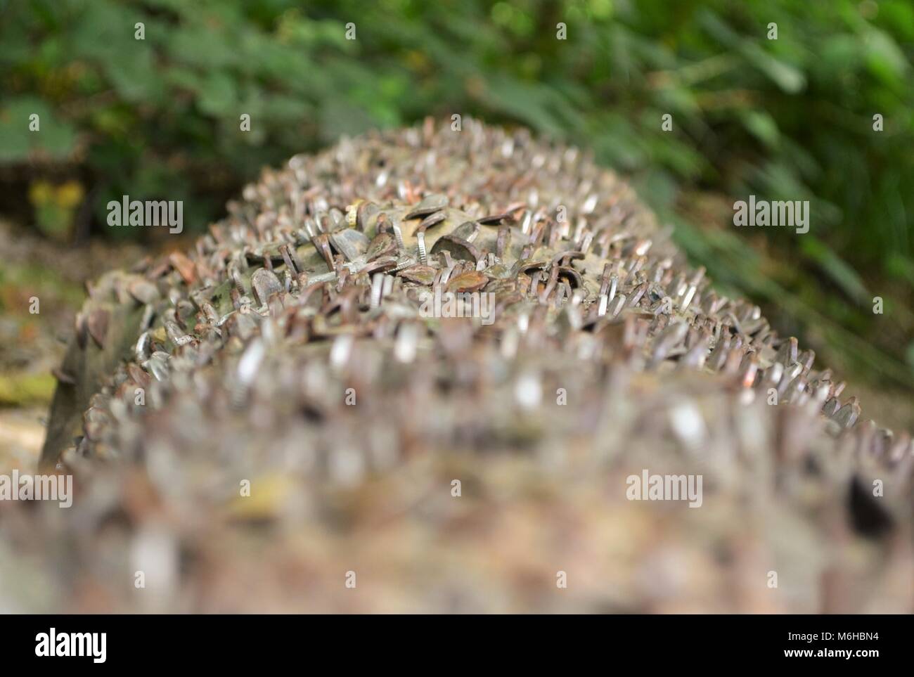 Wishing Log Stock Photos Wishing Log Stock Images Alamy
