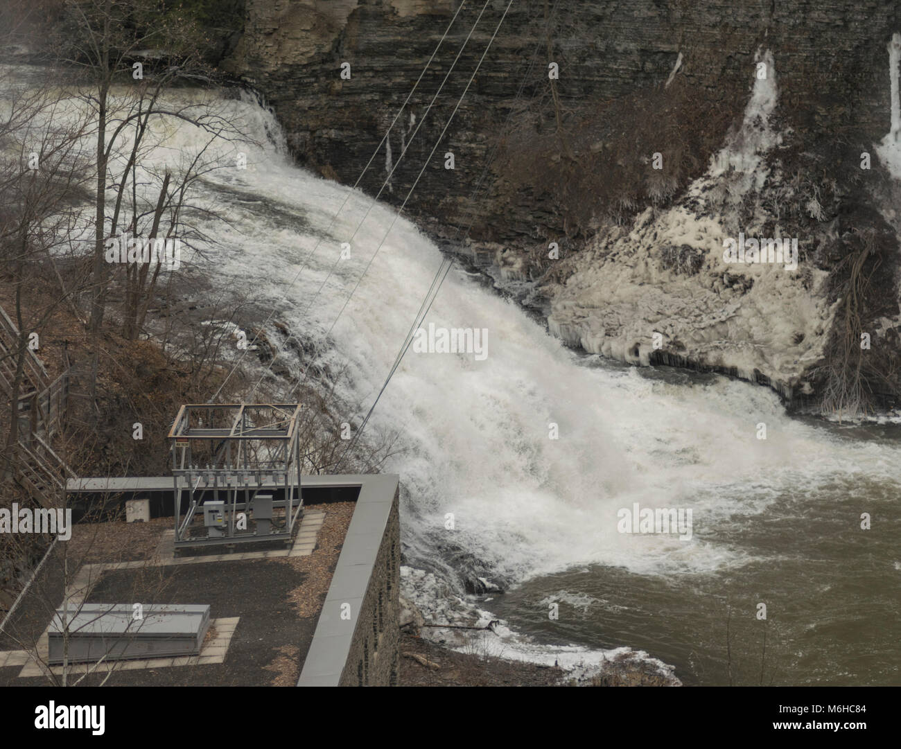 Carnell university hi-res stock photography and images - Alamy