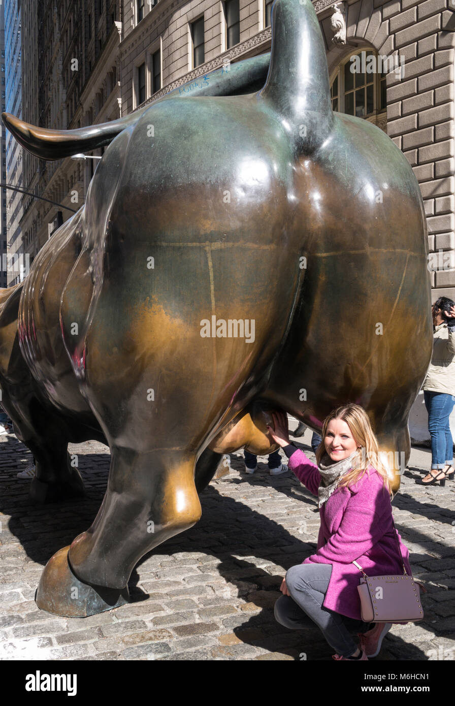 Tourist at Charging Bull Sculpture at Bowling Green Park, NYC Stock