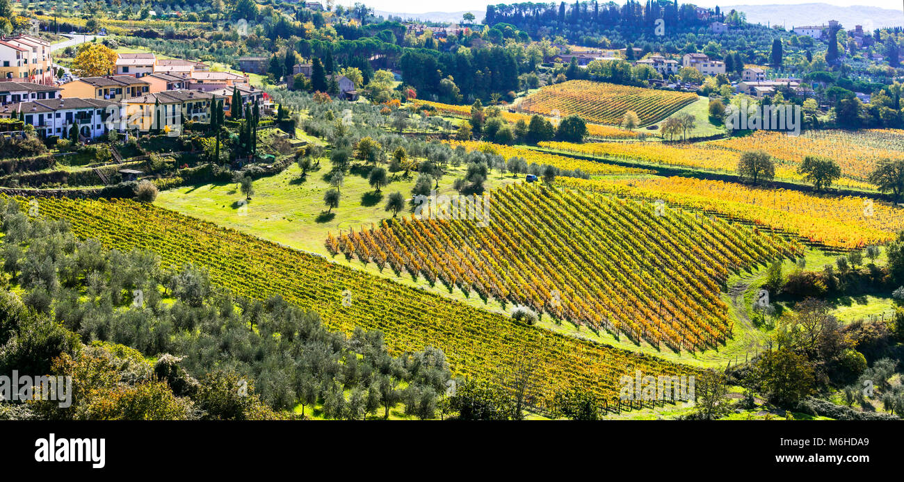 Impressive autmn landscape,view wiwth colorful vineyards,Chianti,Tuscany,Italy. Stock Photo