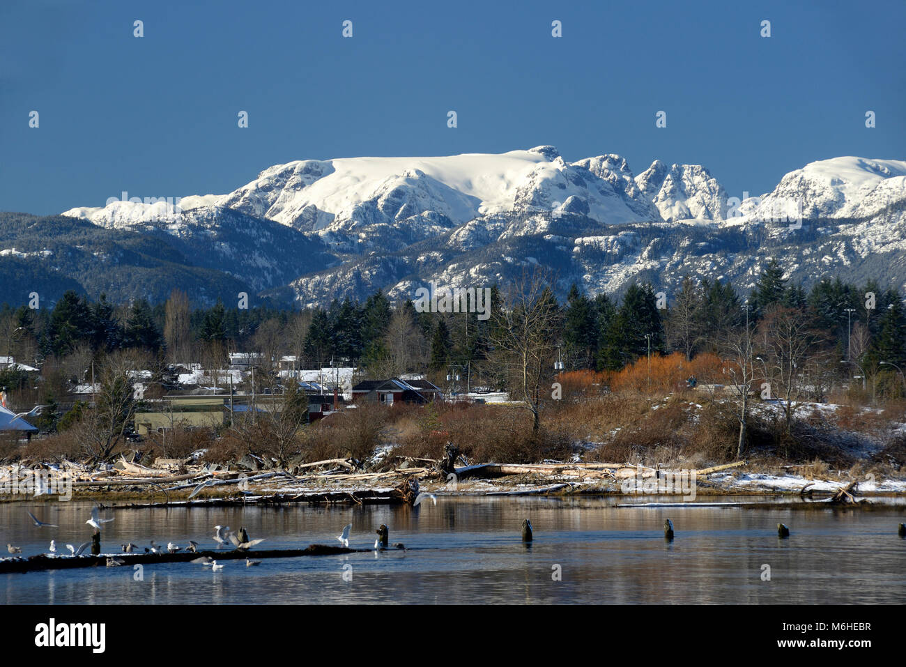 Comox Glacier, Courtenay,Vancouver Island, British Columbia, Canada