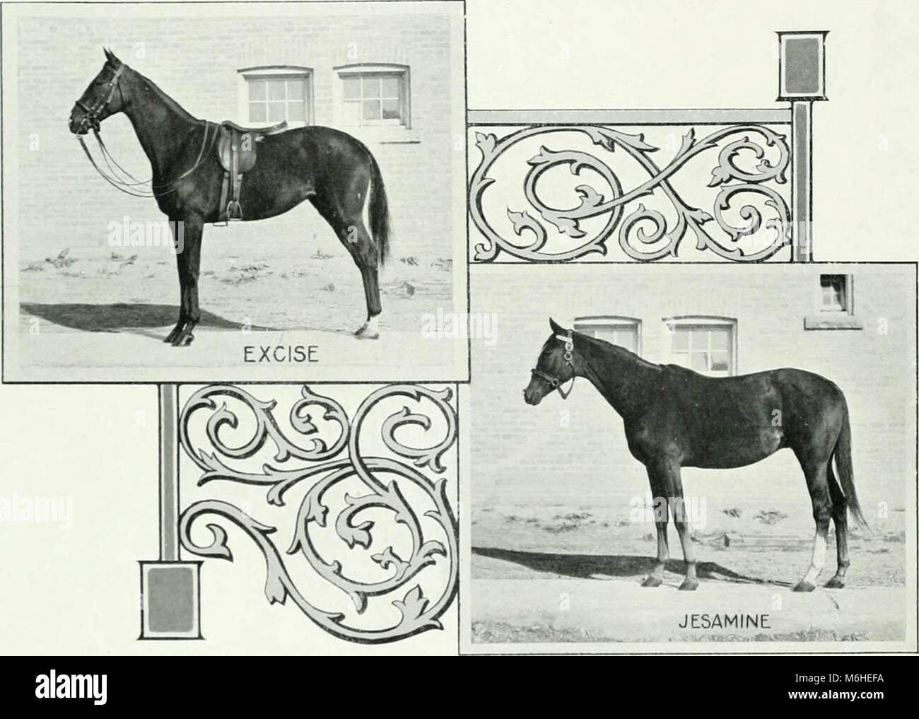 'Lovers of the horse : brief sketches of men and women of the Dominion of Canada devoted to the noblest of animals. --' (1909) Stock Photo