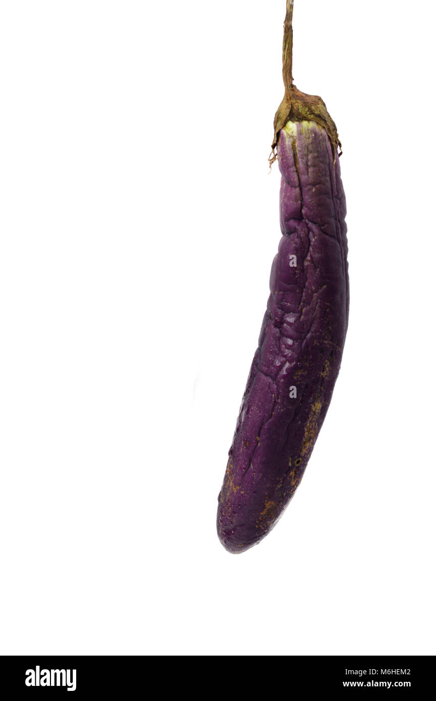 rotten eggplant isolated on white background Stock Photo Alamy