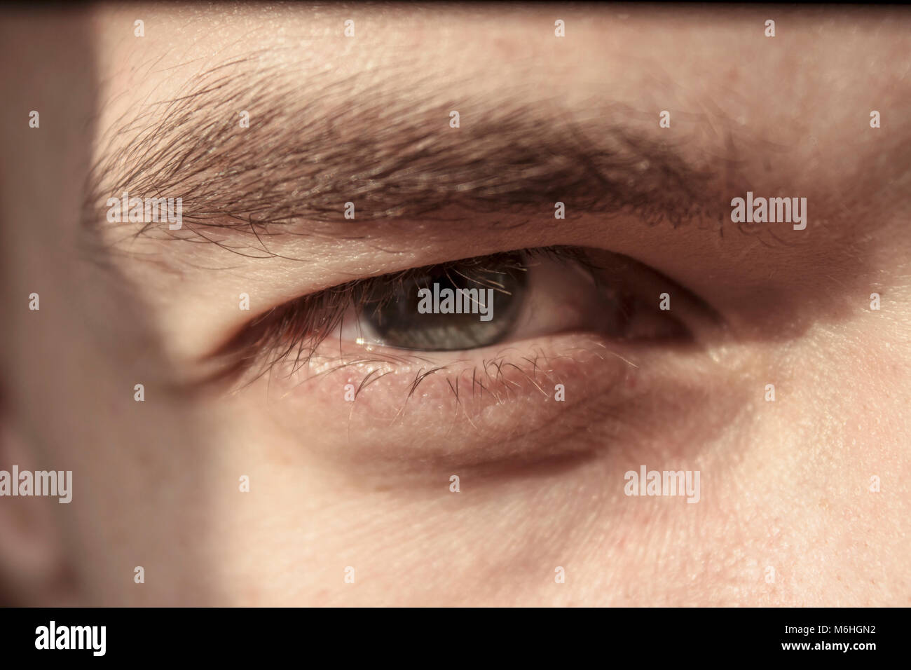 closeup narrowed eyes of the young man Stock Photo Alamy