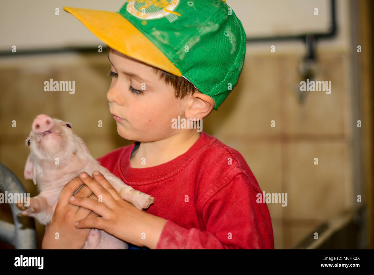 Little helpers in barn 5 Stock Photo - Alamy