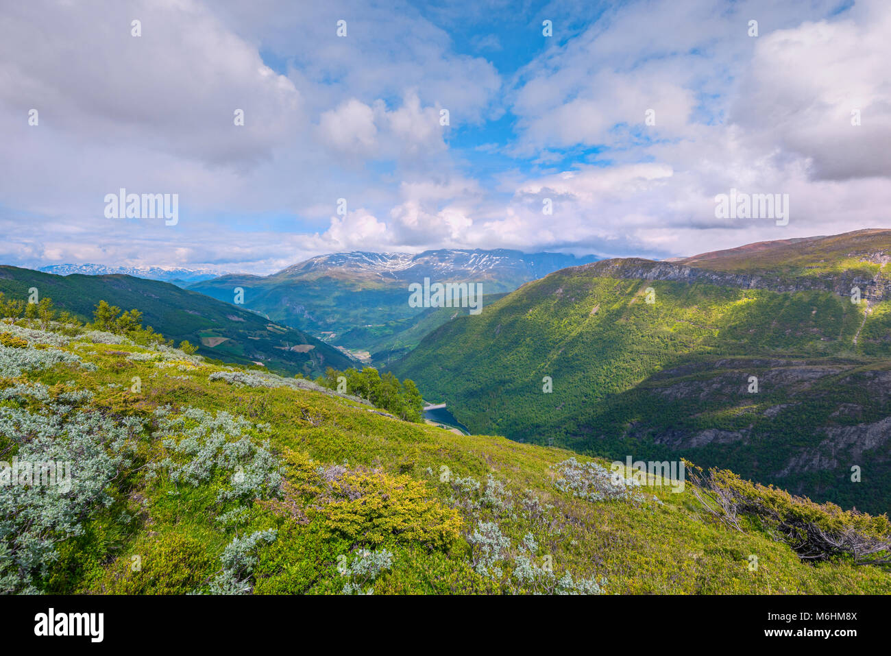 Flora scene hi-res stock photography and images - Alamy