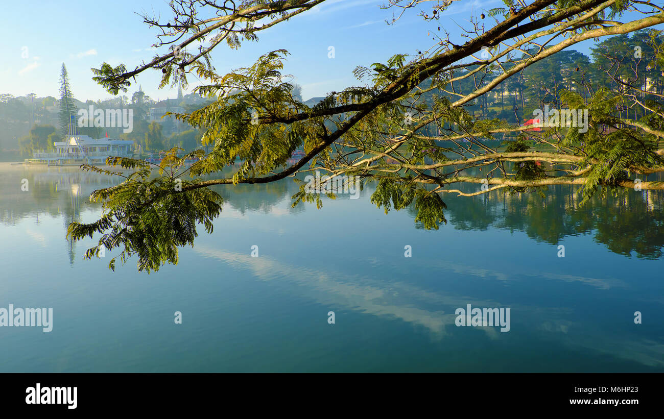 Thuy Ta restaurant of Da Lat city view from branch of flamboyant tree, old and small restaurant also symbol of Dalat that located on Xuan Huong lake Stock Photo
