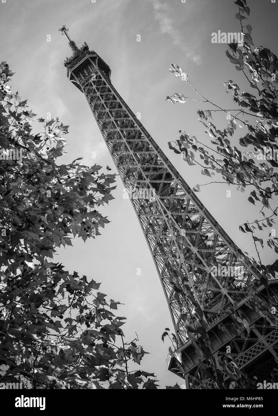 Black and White image of The Eiffel Tower, Paris, France Stock Photo