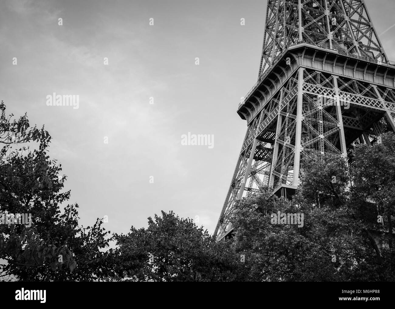 Black and White image of The Eiffel Tower, Paris, France Stock Photo