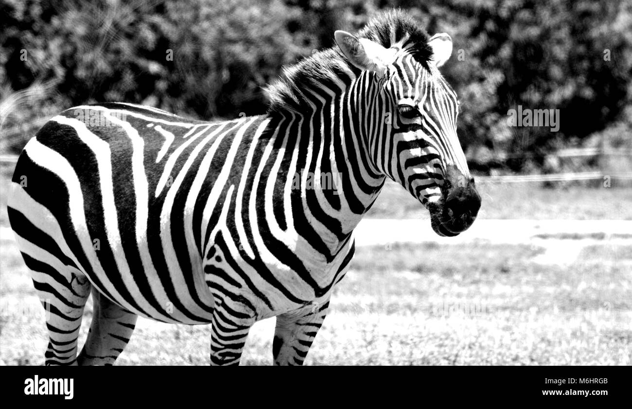 Beautifulphotograph hires stock photography and images Alamy