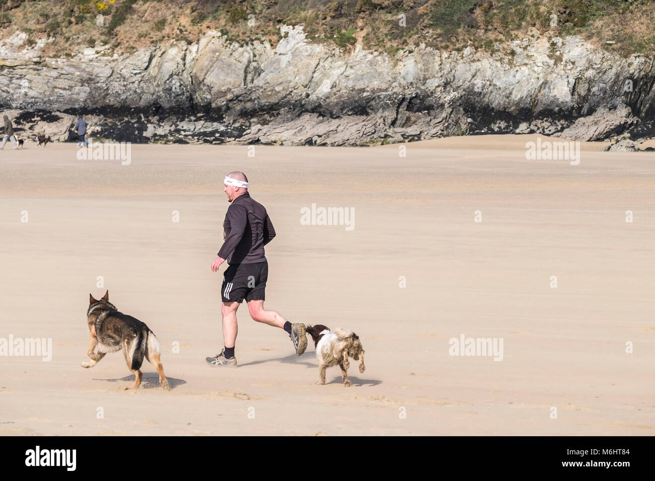 A man and his dogs running along a beach. Stock Photo