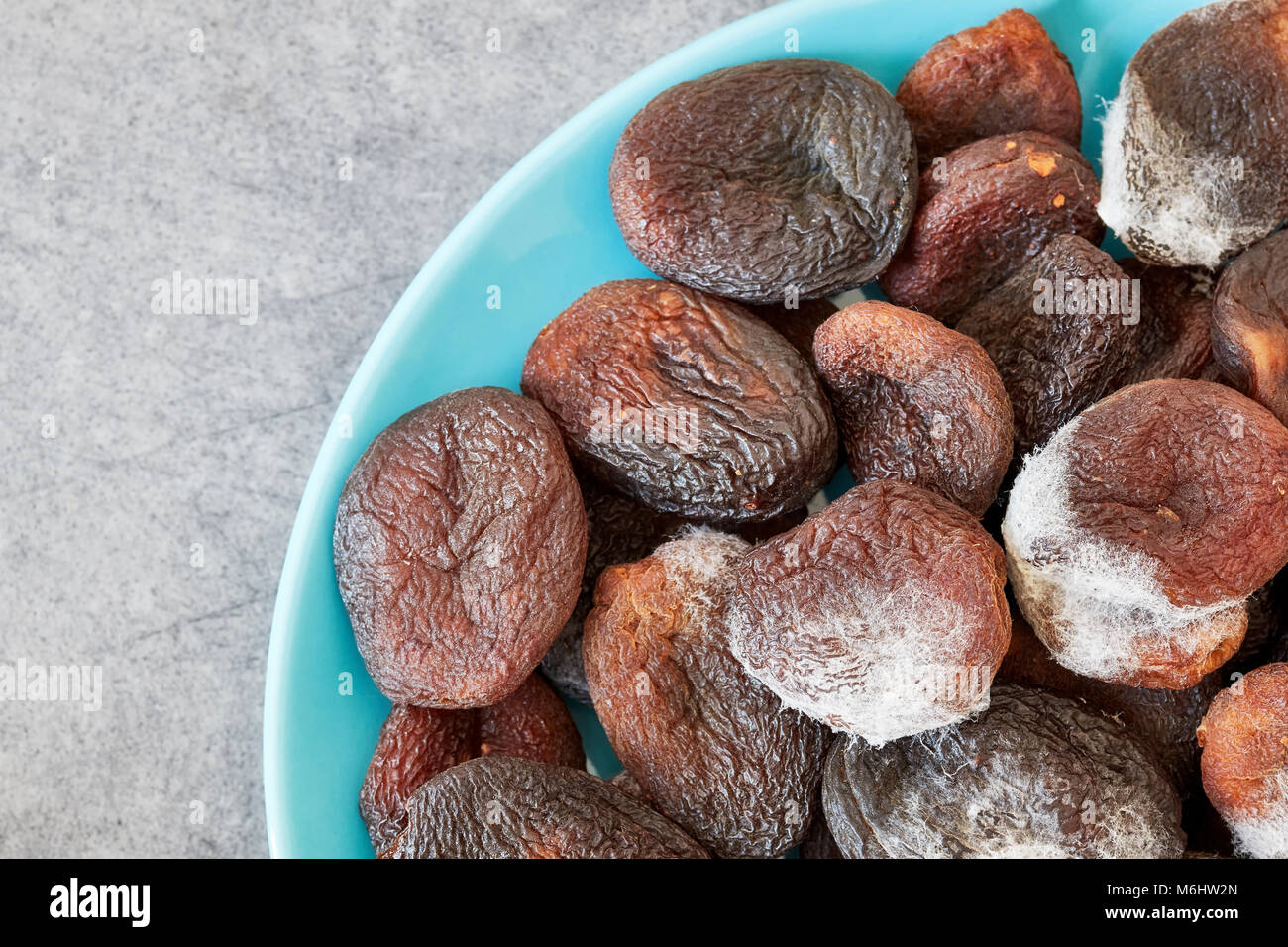 Moldy dried apricots on a plate. Some molds are dangerous causing allergic reactions. Stock Photo