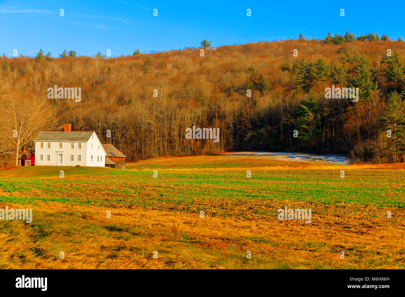 Fall landscape with the forest lake at sunset Stock Photo - Alamy