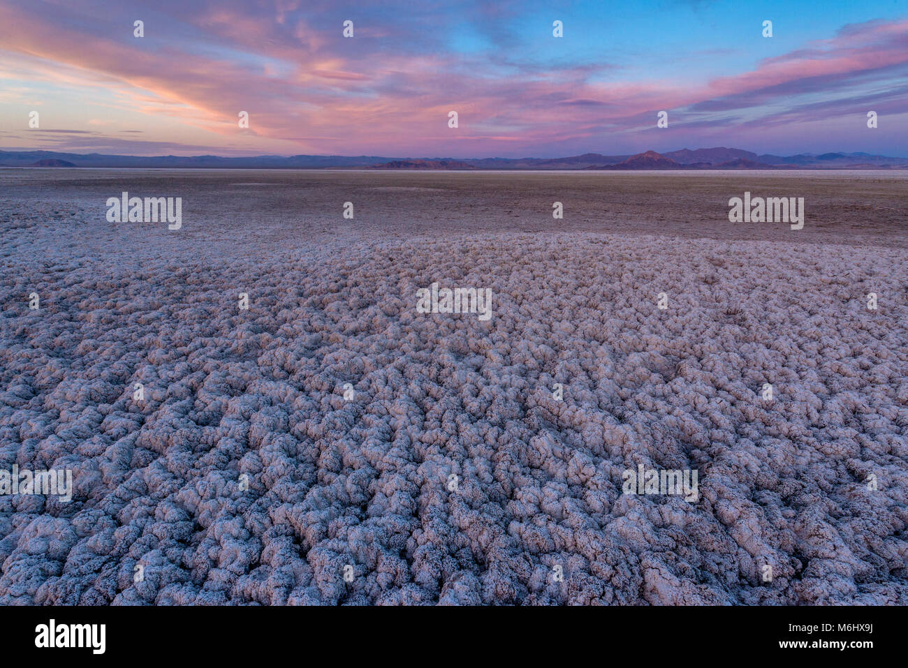 Dusk, Soda Lake, Zzyzx, Mojave National Preserve, California Stock