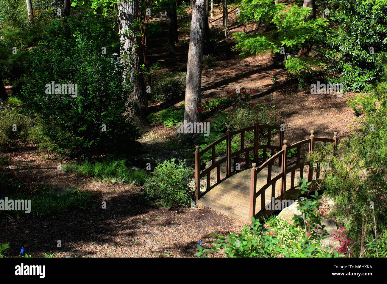 Scenic wooden bridge hi-res stock photography and images - Alamy