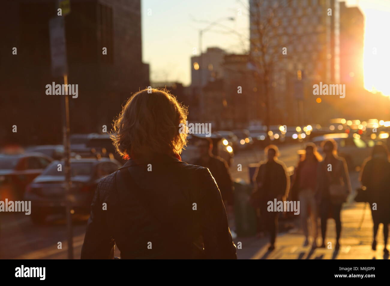 Toronto streets at sunset Stock Photo