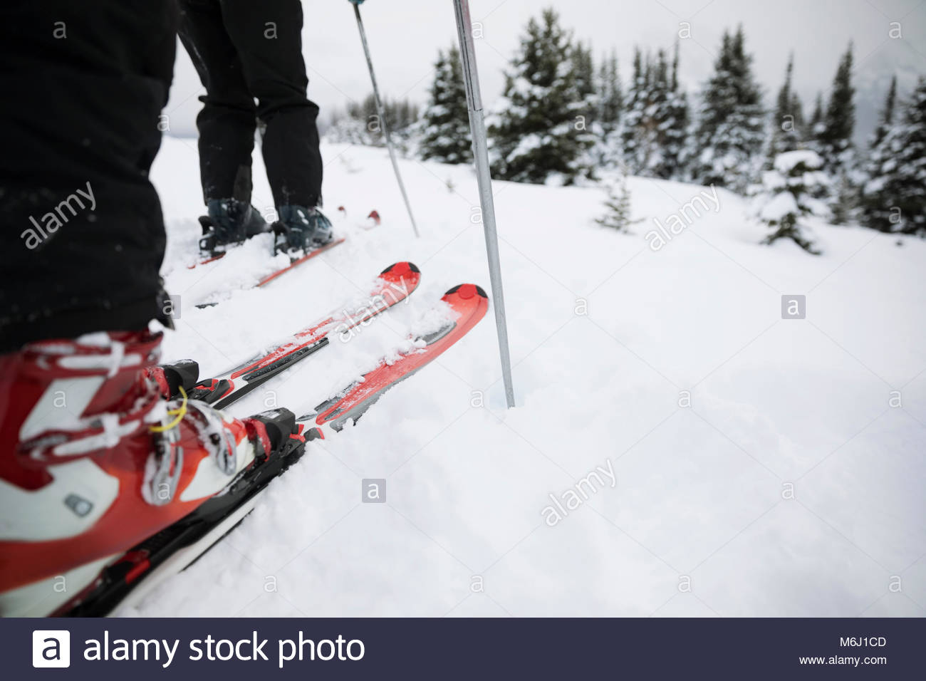 Feet of skier skiing in snow Stock Photo Alamy