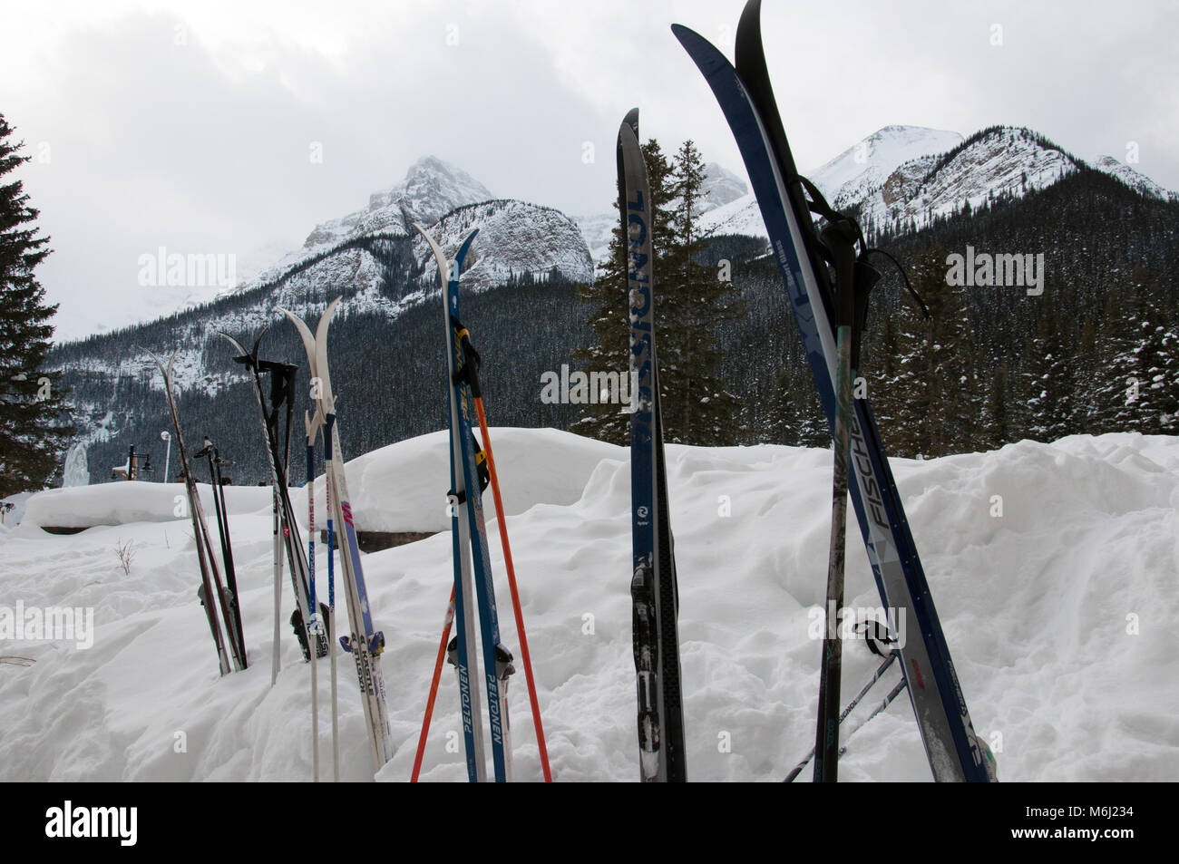 January 22, 2011; Cross Country Skis sitting in a snow bank at Chateau Lake Louise, Lake Louise, Banff National Park, Alberta, Canada Stock Photo