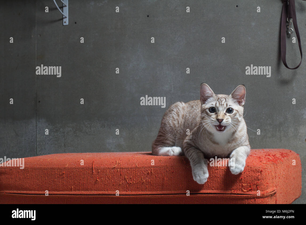 Ruined sofa hires stock photography and images Alamy