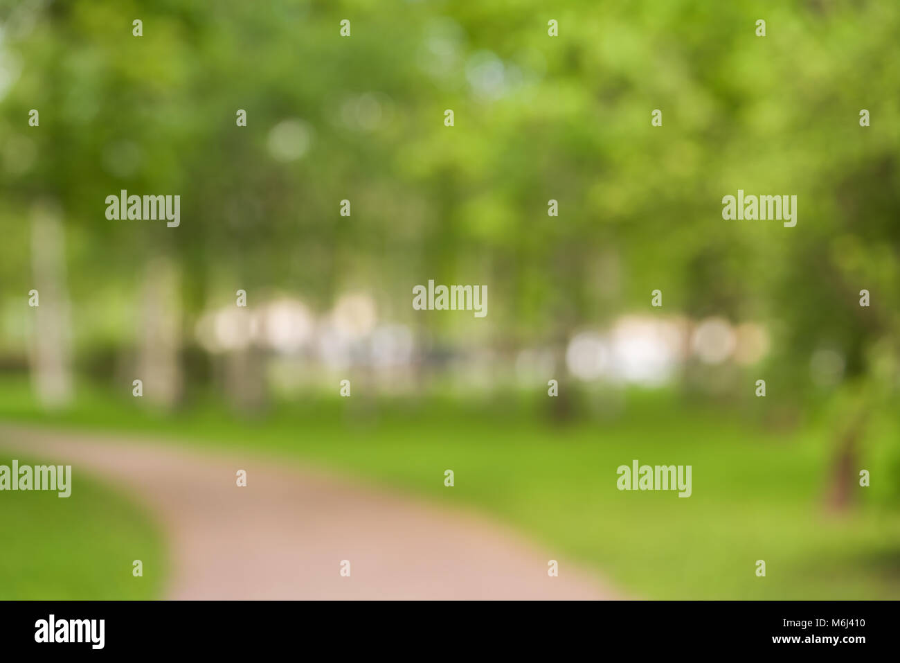 outdoor blurred background of park on a summer day Stock Photo
